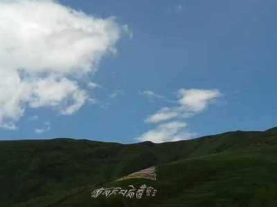 2024西藏林芝3月旅游攻略 看完不踩坑