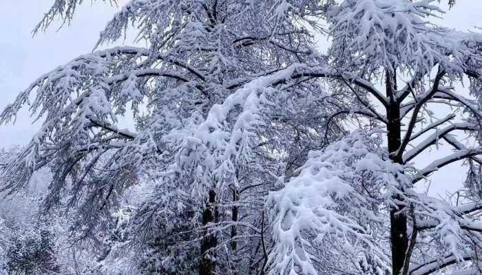 中央气象台发布暴雪黄色预警 内蒙古黑龙江吉林等地局地将有大暴雪