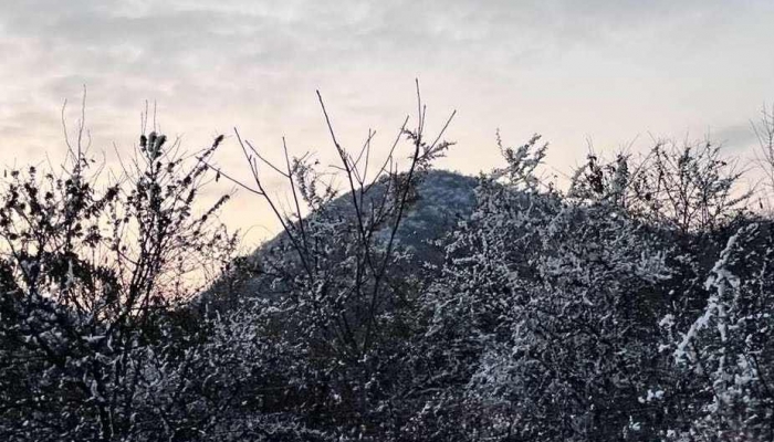 小雪是一个什么样的节气 小雪的节气特点