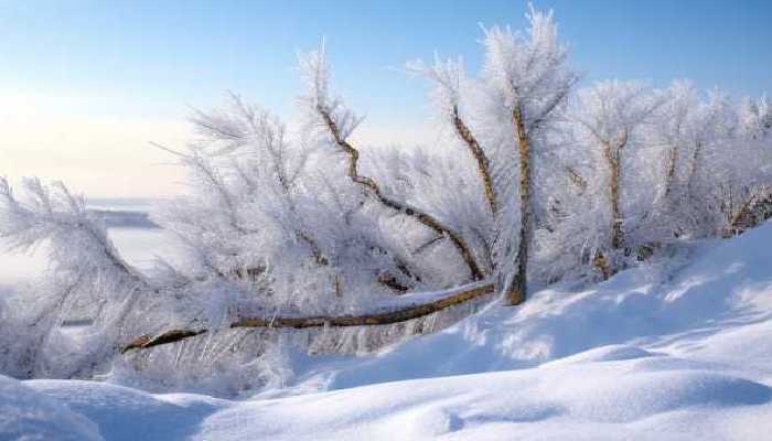 今起三天新疆降雪仍将持续 阿尔泰伊犁等地局地或达中雪