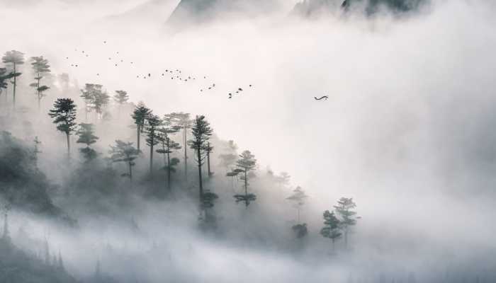 大雾黄色预警继续发布 江苏安徽四川局地将有特强浓雾 