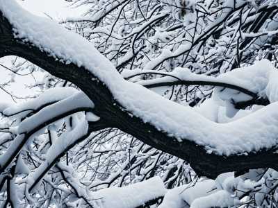 黑龙江今明天降雪持续 哈尔滨后天早晨最低温降至-25℃左右