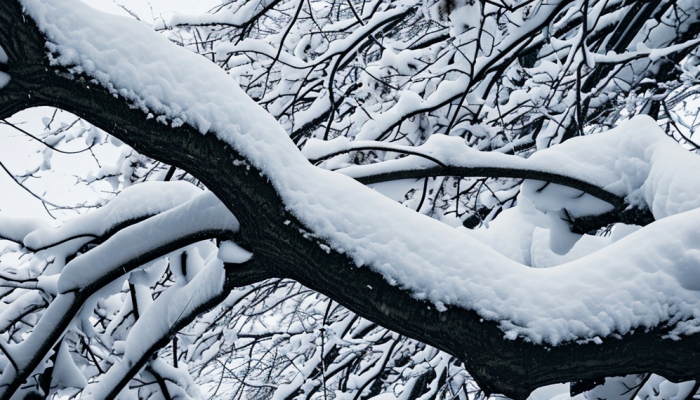 林海雪原闯关东 闯关东是指从哪到哪