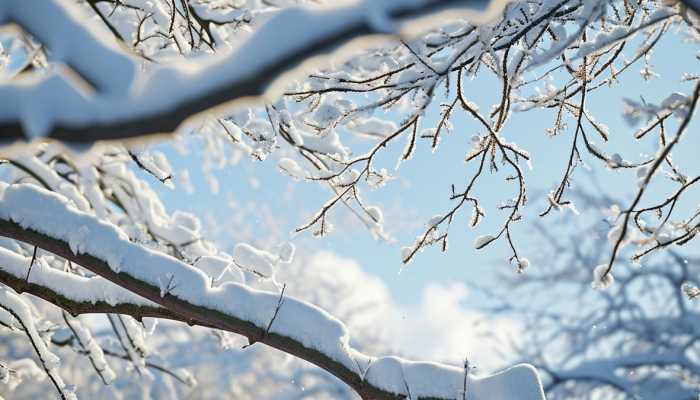 寒潮蓝色预警继续发布 吉林局地降温将达10至12℃