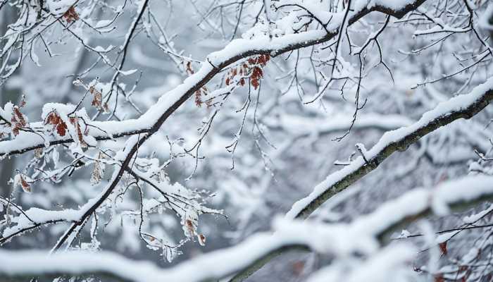 湖北未来三天低温雨雪冰冻天气将持续 武汉今天还有中到大雪