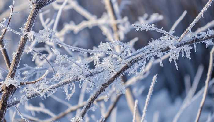 本周末两天吉林仍有小雨雪 最高气温不足零下10℃
