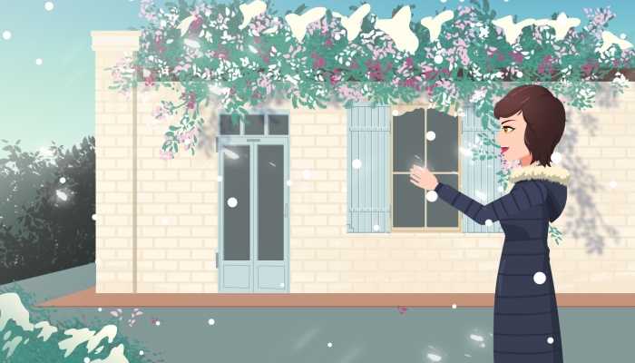 降雪如约而至范围仍将扩大 未来几日全国多地气温低迷