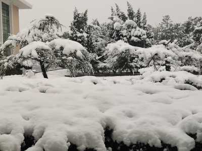 暴雪橙色預警繼續發布 安徽江蘇山東三省將有暴雪