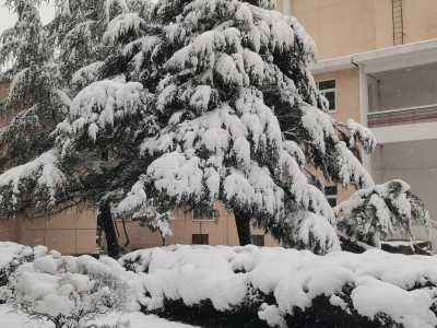 未来三天安徽雨雪天气持续 合肥今天局部将有暴雪