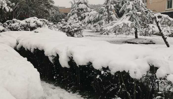黑色暴雪区出现 河南成为暴雪中心连续5天都下雪