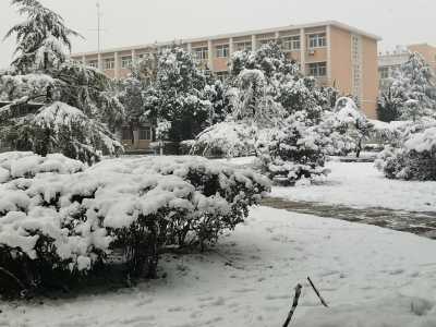 受恶劣天气影响 江苏多地学校通知今天停课