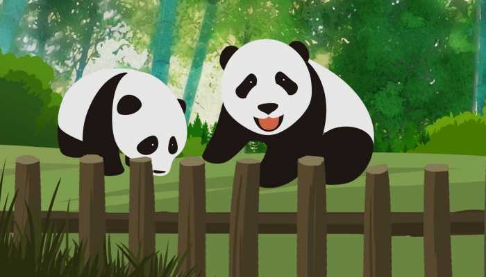 死亡野生大熊猫为成年雌性 官方通报死亡大熊猫核查情况
