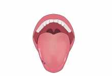 舌頭兩邊鋸齒狀是什么原因 舌頭兩邊鋸齒狀是怎么回事