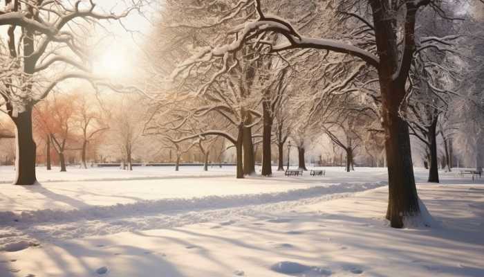 2024年3月4日国外天气预报：加拿大南部美国西北部等地有强降雪