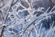 雨雪天气交通出行工具 雨雪天气出行工具有哪些