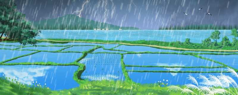 热带干湿季气候出现在什么时候 热带干湿季气候特征