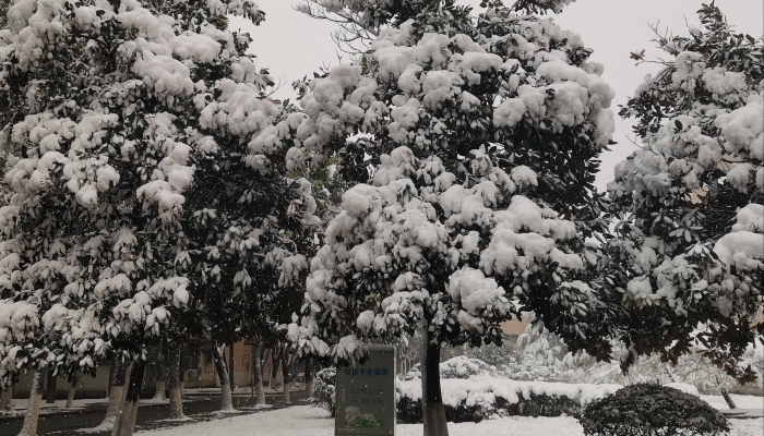 大雪是一个什么样的节气 大雪节气的特点和风俗