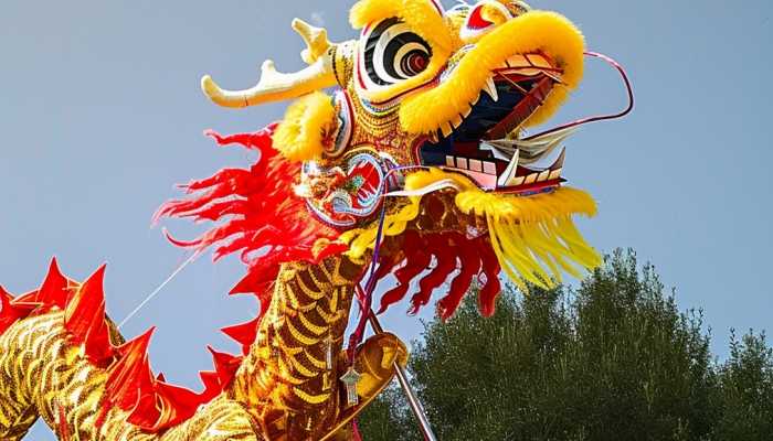 春节舞龙的来历和风俗 春节舞龙的寓意和象征
