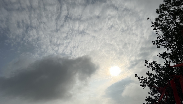 出伏首日北京晴转多云 最高气温32℃