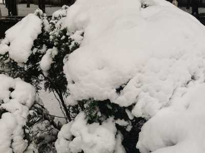 今夜到后天黑龙江部分地区仍会有降雪出没 佳木斯等地有小到中雪