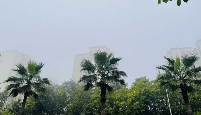 未来三天广东大部地区以多云间阴为主 部地区早晚时段易有轻雾