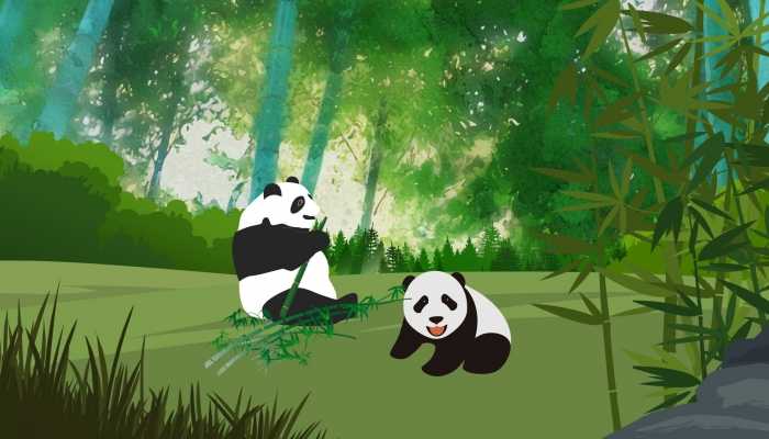 大熊猫国际合作为黑实验?谣言 促进生物多样性的保护