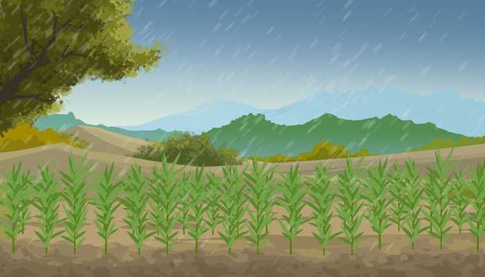 谷雨和雨水是一个节气吗 谷雨和雨水不是同一个节气