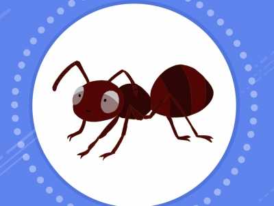 红火蚁有什么危害 如何防治红火蚁