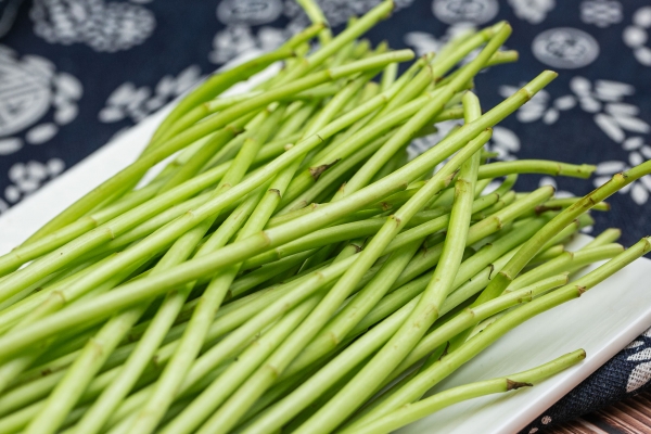 藜蒿的功效與作用、禁忌和食用方法