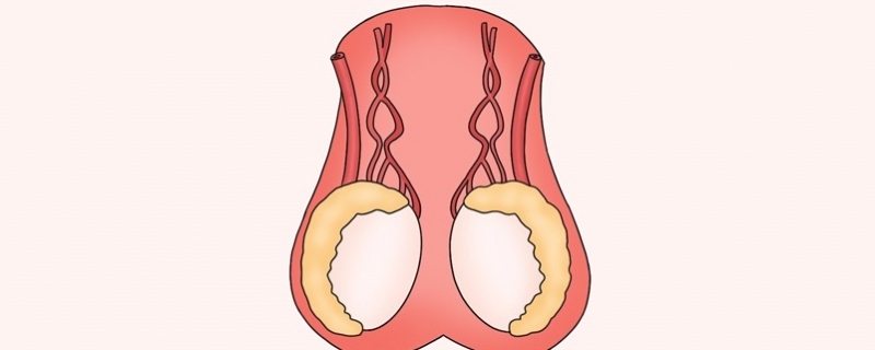 睪丸脹痛有下墜感是什么原因}