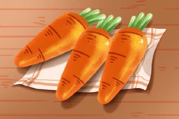 玉米胡萝卜排骨汤的功效与作用