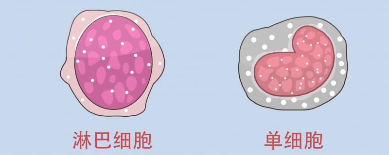 淋巴細胞高是怎么回事}