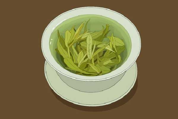 绿茶可以天天喝吗