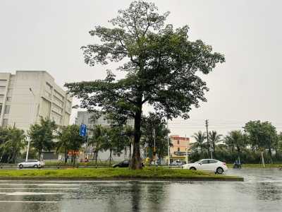 广东福建海南岛有强降雨天气  华北东北等地多雷阵雨