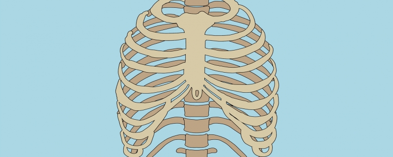 肋骨骨折为什么不建议用胸带}