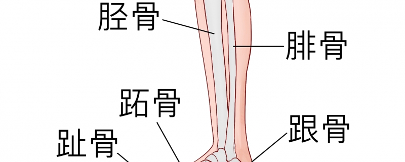 第五跖骨骨折两个月后能否正常走路}