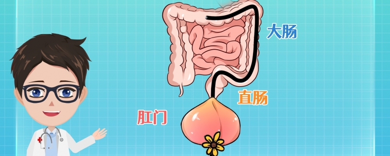 肛門失禁怎么回事}