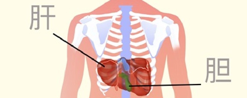 脾臟縮小怎么回事}