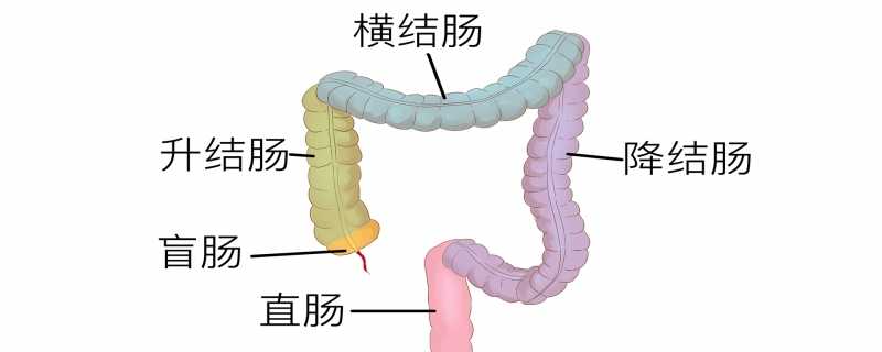 直肠炎一般几天恢复正常}