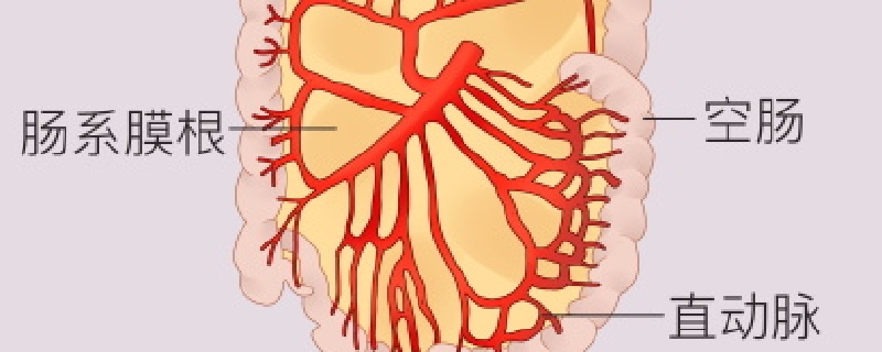 腸系膜淋巴結腫大可以治愈嗎}