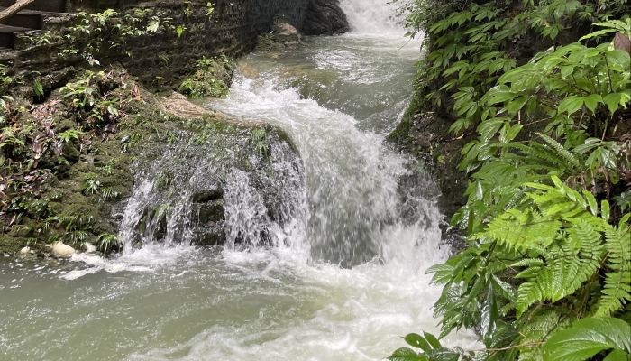 什么是谷雨 谷雨的气候特点