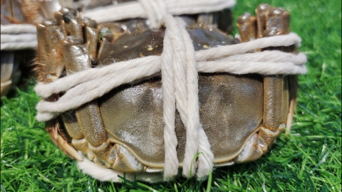重阳节为什么要吃螃蟹 重阳节螃蟹怎么做好吃