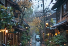 雨水节气民俗 雨水节气要做什么