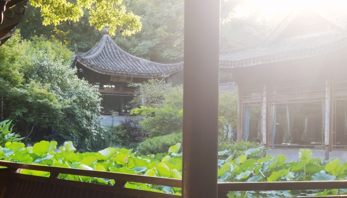 女生发了个早我回什么 更有魅力的回复早安的话语