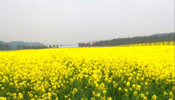 清明节起源之说法 清明节起源有哪些传说