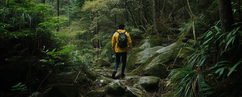 十二生肖中的男肖 12生肖男肖有哪几个