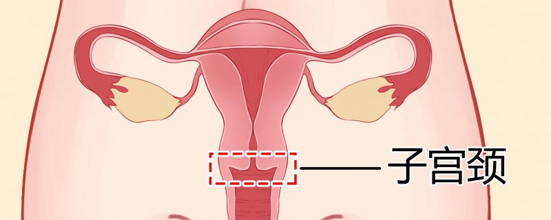 HPV35陽性是男人傳染的嗎}