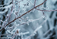 形成雨夹雪的原因是什么 雨夹雪的原理