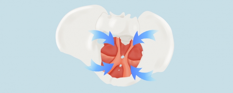 產后盆底肌修復怎么做