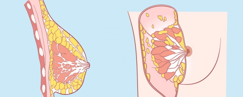 乳頭內陷怎么矯正